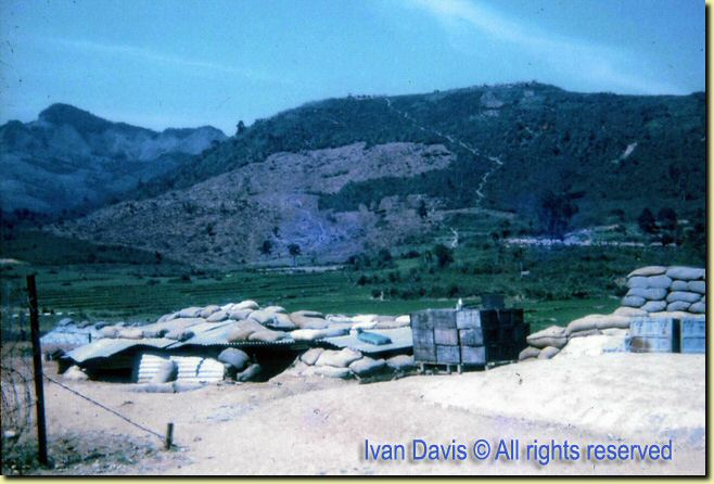 Looking at O P copy.jpg